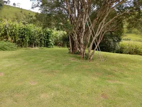 Wonderful Farm in Itabirito - Image 3