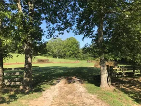 Nashville Area Country Cabin/Coyote Creek - Image 3