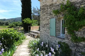 beauty of the site, beautiful view, cozy house - Image 3