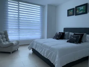 Apartment in the Coffee Region - Image 4