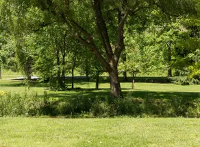 The Nest - Image 5