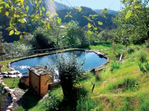 Cevennes, natural swimming pool, charm, exception - Image 3