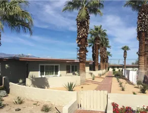 Oasis in the Desert - Image 3