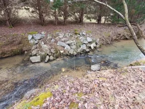Eagle's Nest Entire Home on 2 Acres w/creek - Image 3