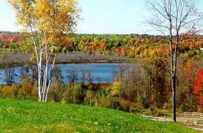 Large Home with Great View next to horse farm - Image 2