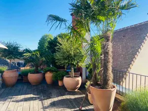 Historic center loft/parking/private terrace - Image 5