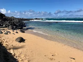 Locally-Owned Eco-Friendly Condo on Road to Hāna - Image 4