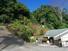 Bottle Palm Villa - Image 5