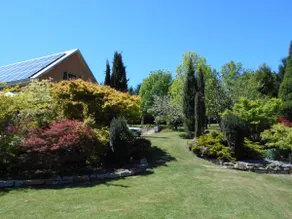 Suite 12| Self Contained Unit | | Pet $40 pppn - Image 3