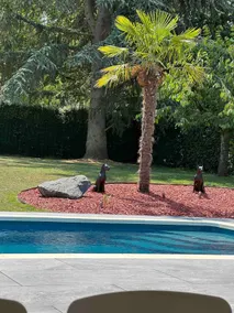 upscale house with pool, spa, 3 bedrooms - Image 3