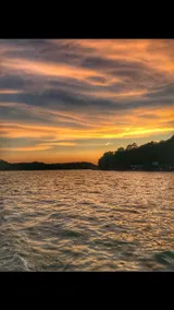Woodland Cottage on the Cove - Lake Hamilton - Image 2