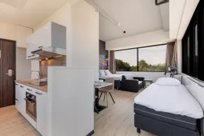 Panoramic Suite with kitchen - Image 3