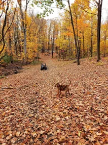 Farm Stay! - 20 min from Lake George-30 Saratoga - Image 4