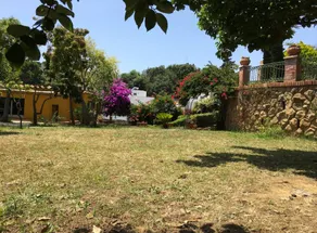 Casina Villa of the Amphorae - Image 3