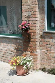 Flowers house - Image 2