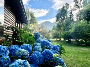 Cabaña Pucon/Catripulli, Curarrehue - Image 5