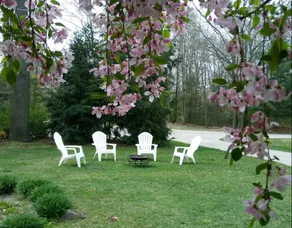 Saugatuck Family Cottage - Image 2