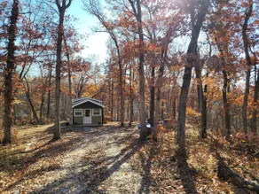 Little Cabin in the Woods - Image 3