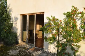 Maler of Neukirch - Image 5