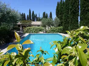 Les grands pins - Image 3