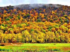 Country Chic Getaway at Black Creek Sanctuary - Image 5