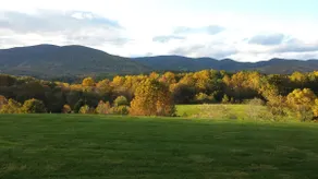 Farm Cottage w. Blue Ridge views 15 mins from SNP - Image 3