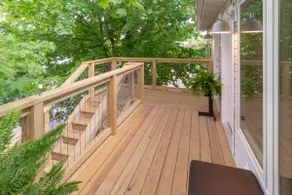 Lil BUB's Really Nice Apartment - EAST - Image 3