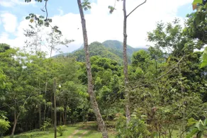 Namaste Jungle Paradise - Image 4