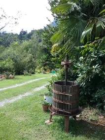 Monica's Garden - Image 5