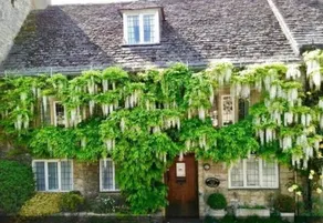 Charming 5-bedroom 17th Century Cotswold cottage - Image 5