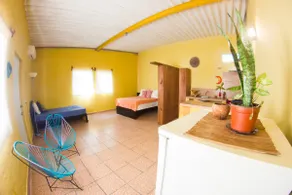 Studio Pachita - Image 3