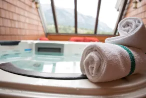Luxe Magnifique Penthouse Avec Spa privatif - 4 - Image 3