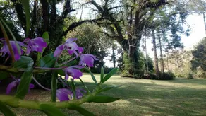 Cambará Eco Refuge. Country House Bom Retiro SC - Image 4