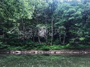 Cabin Getaway! Relax By the Fire! River front! - Image 4