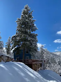 Lassie's Lodge - Three Bedroom Cabin - Image 3