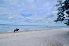 The classical Huahin beach house 30sec. to beach - Image 3