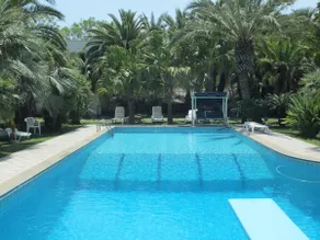 Spacious Three-Room Apartment with Veranda, Surrounded by Palms and Pool - Image 2