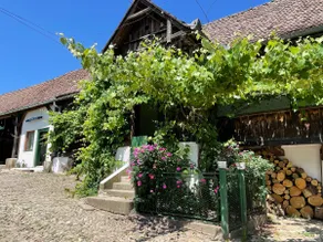 Saschiz 130/Lodging and Glamping - Image 2
