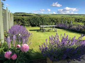 Kate's Cottages, Spott, Dunbar, Kinnighallen - Image 3