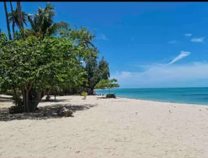 Aquatika Real Beach Front Gden Apt - Image 3