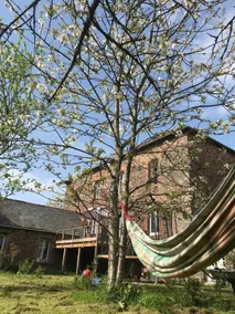 Relax at the mill with zen nature bath and yoga - Image 5