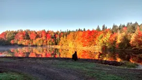 Black Bear Lodge - Image 2