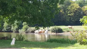 Beautiful outbuilding of the castle: THE PARK - Image 2