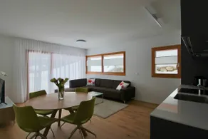 (D_EG_West) Modern flat in the Swiss Alps - Image 3