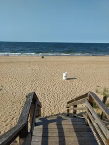 New Beach Home on the Chesapeake Bay - Image 2