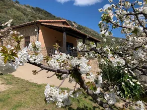 Casa Rural Canchal Madroñeras *** - Image 2