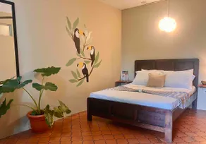 Jungle Room with Free Breakfast & park tour - Image 2