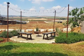 The house at the end of the field - Image 2
