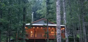 Newer Cabin/Condo-Directly on Toccoa River No Pets - Image 4