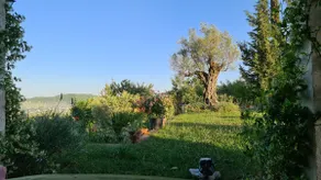 "Kasneci Residence" Countryside Villa - Image 5